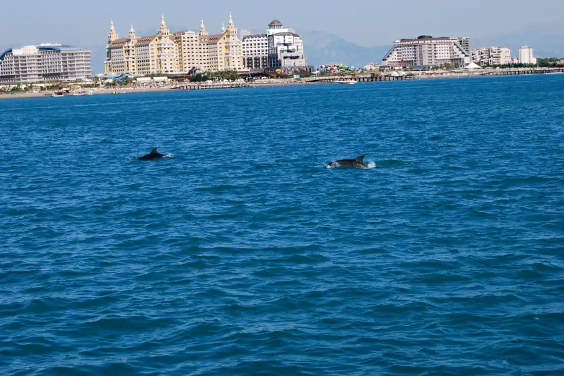 Antalya Belek Private Speed Boat Rental